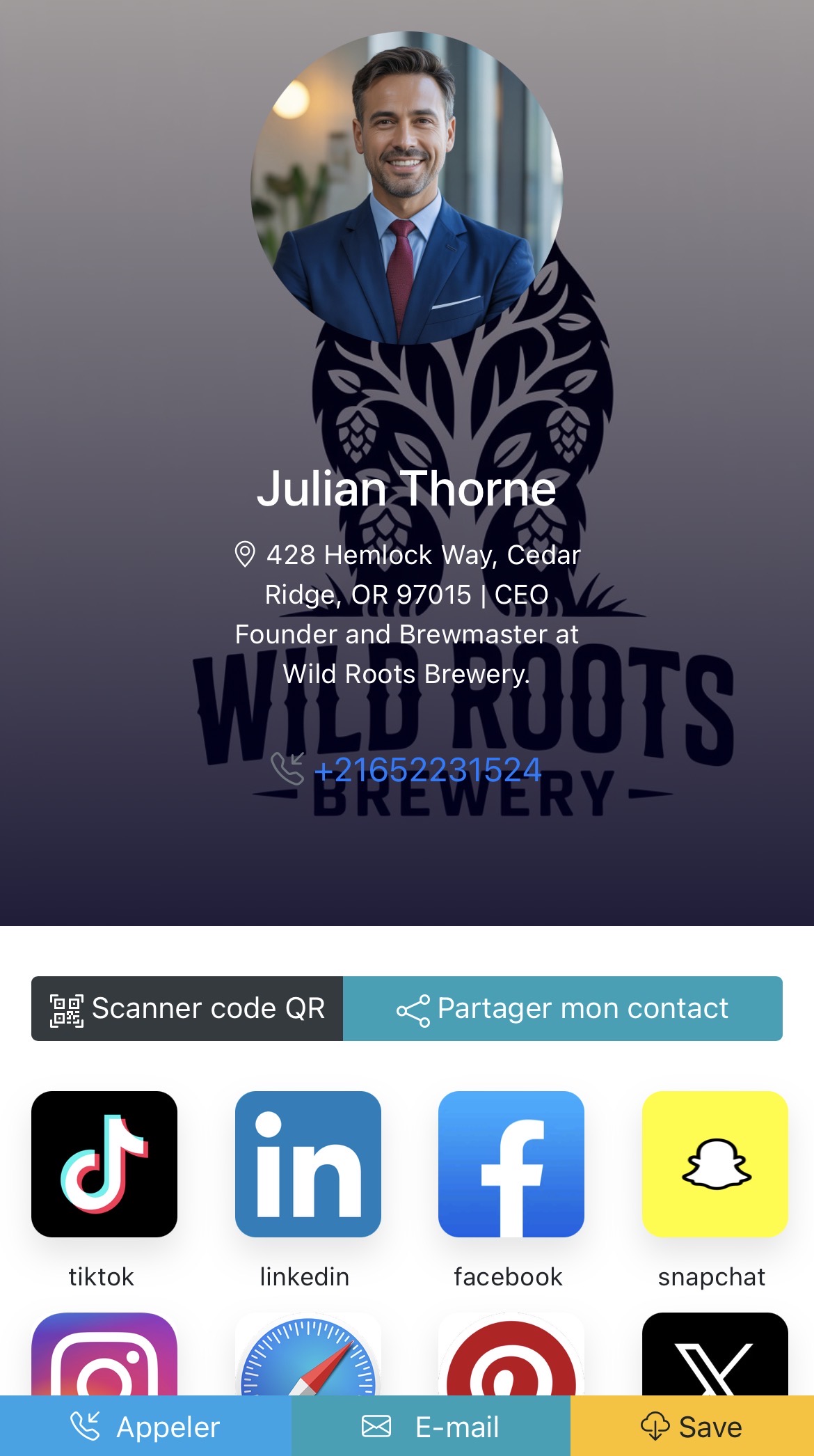 Aperçu Thème 5 — theme full head avec couverture sombre